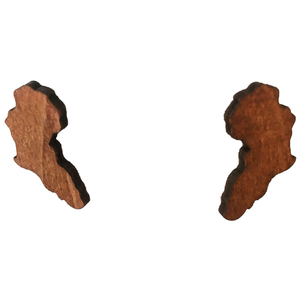 africa earrings; africa shaped earrings; africa jewelry; map of africa earrings; acrylic africa earrings; natural hair earrings; africa map earrings; afrocentric earrings; 